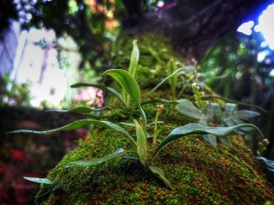 Thumbnail for Getting Started with Genclick CMS: A Complete Installation Guide